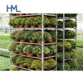 Hot Sale High Quality Plant Warehouse Greenhous Nursery Danish Outdoor Metal Flower Cart